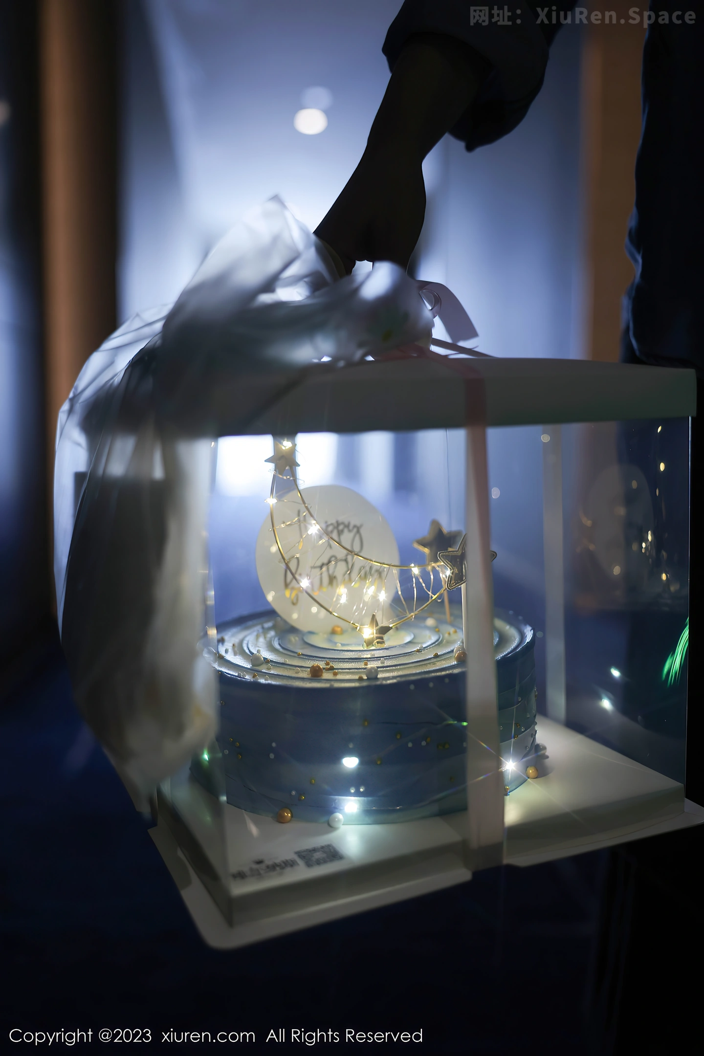 图片[3]-[XiuRen秀人网]VOL.7348 模特幼幼性感白色网纱服饰露白色蕾丝内衣秀完美身材诱惑写真80P-秀人网官方网站